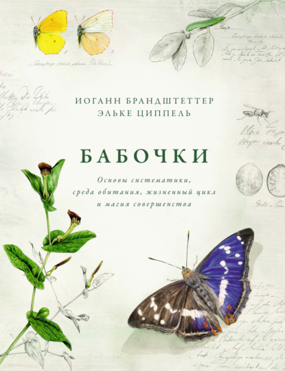 Скачать книгу Бабочки. Основы систематики, среда обитания, жизненный цикл и магия совершенства