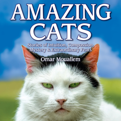 Скачать книгу Amazing Cats - Stories of Intuition, Compassion, Mystery & Extraordinary Feats (Unabridged)