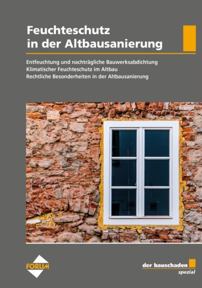 Скачать книгу der bauschaden Spezial Feuchteschutz in der Altbausanierung