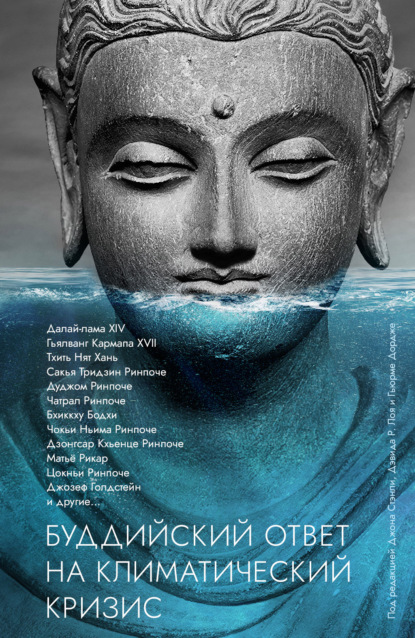 Скачать книгу Буддийский ответ на климатический кризис