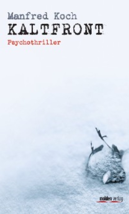 Скачать книгу Kaltfront