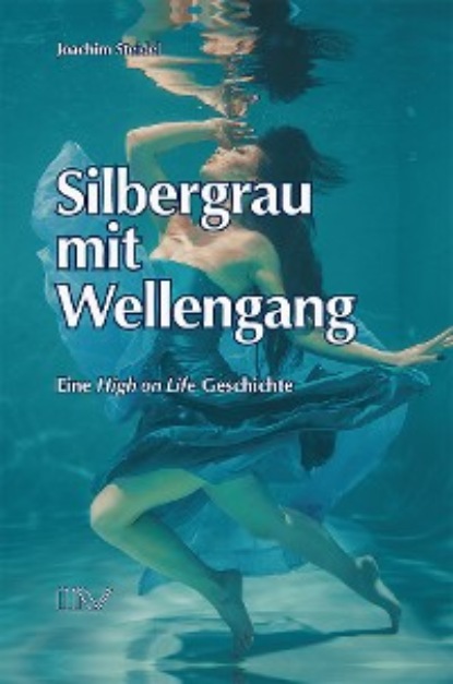 Скачать книгу Silbergrau mit Wellengang