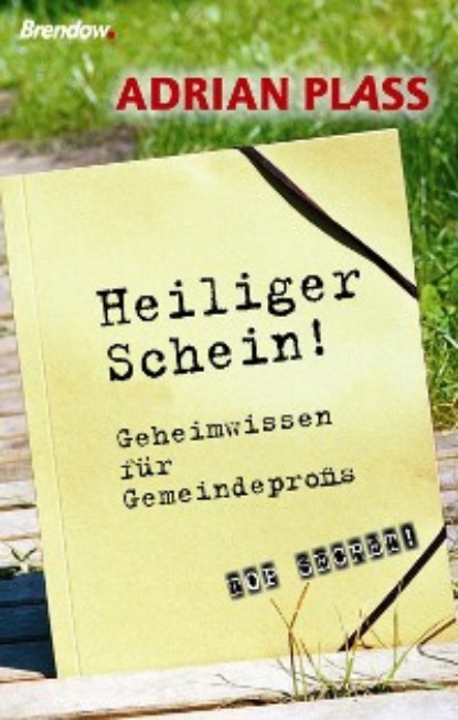 Скачать книгу Heiliger Schein