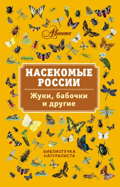 Скачать книгу Насекомые России. Жуки, бабочки и другие