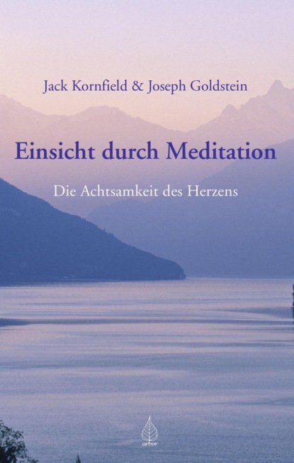 Скачать книгу Einsicht durch Meditation