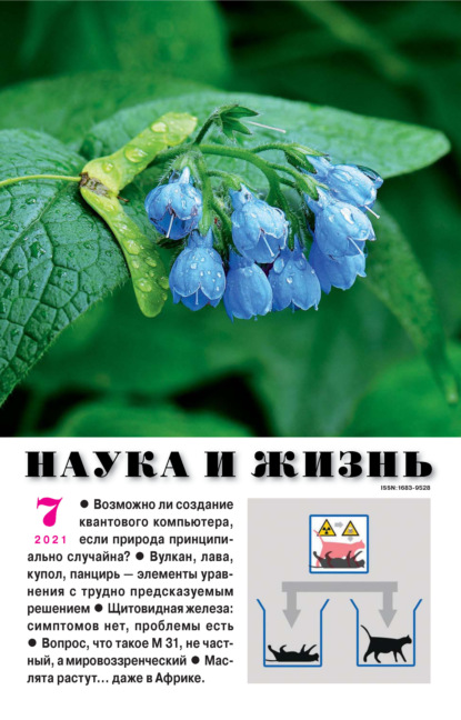 Скачать книгу Наука и жизнь №07/2021