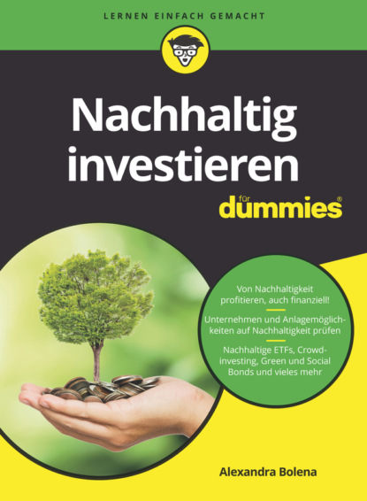 Скачать книгу Nachhaltig investieren für Dummies