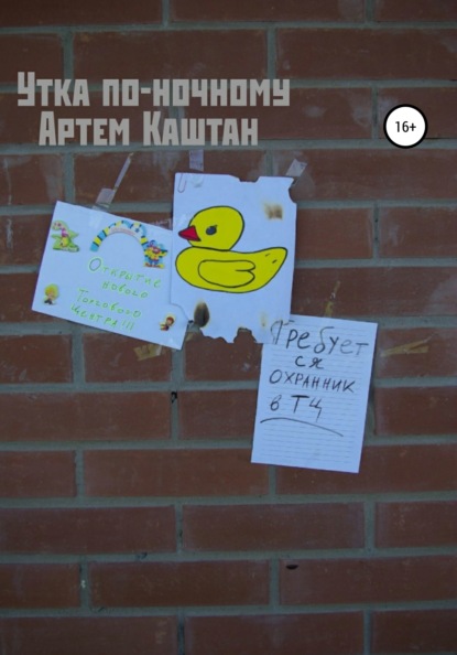 Скачать книгу Утка по-ночному