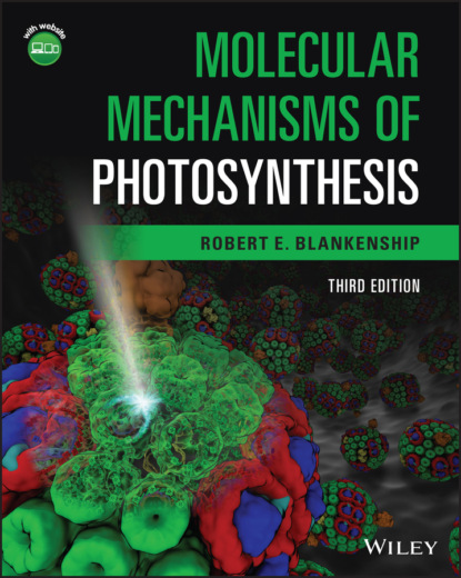 Скачать книгу Molecular Mechanisms of Photosynthesis