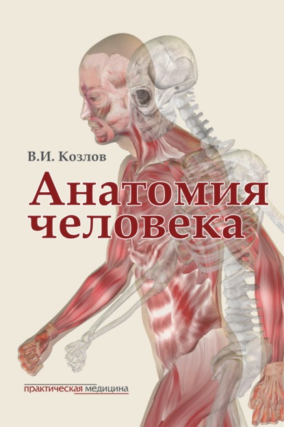 Скачать книгу Анатомия человека. Учебник для медицинских вузов