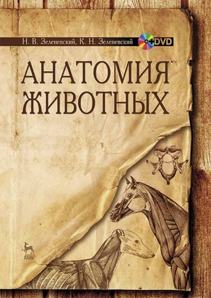 Скачать книгу Анатомия животных