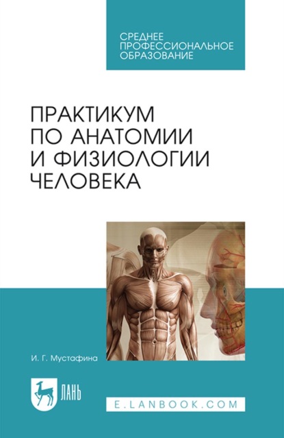Скачать книгу Практикум по анатомии и физиологии человека. Учебное пособие для СПО