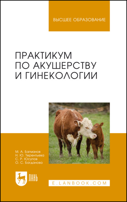 Скачать книгу Практикум по акушерству и гинекологии. Учебное пособие для вузов