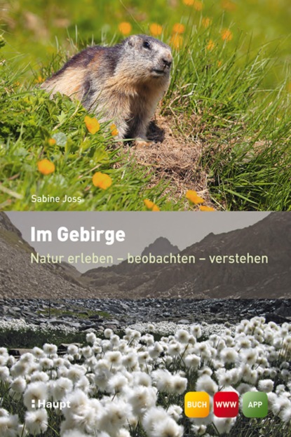 Скачать книгу Im Gebirge