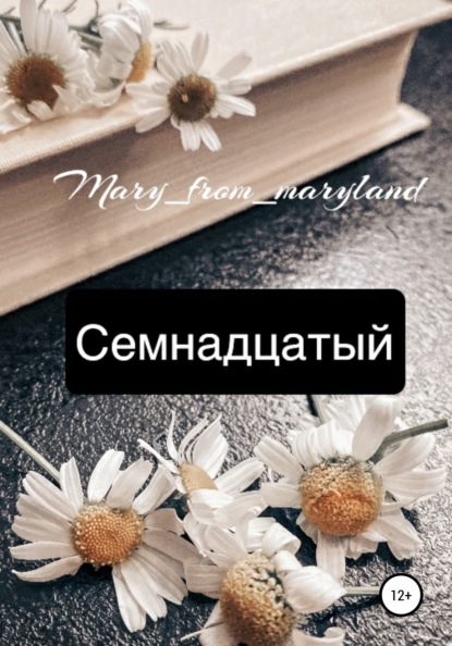 Скачать книгу Семнадцатый