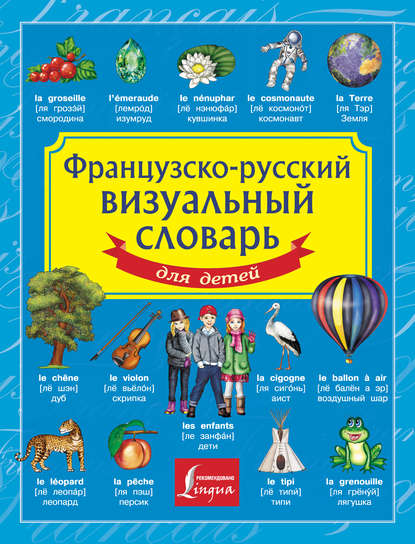 Скачать книгу Французско-русский визуальный словарь для детей