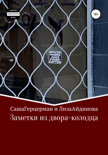 Скачать книгу Заметки из двора-колодца
