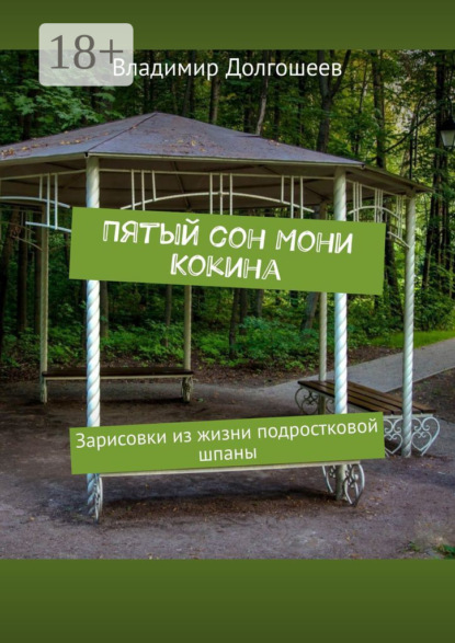 Скачать книгу Пятый сон Мони Кокина. Зарисовки из жизни подростковой шпаны