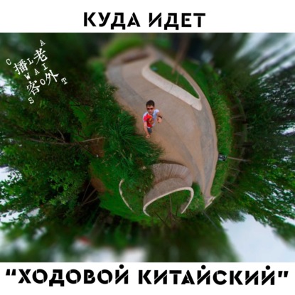 Скачать книгу Куда идет “Ходовой китайский”