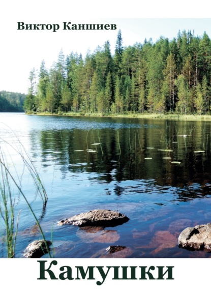 Скачать книгу Камушки