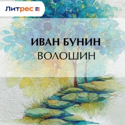 Скачать книгу Волошин