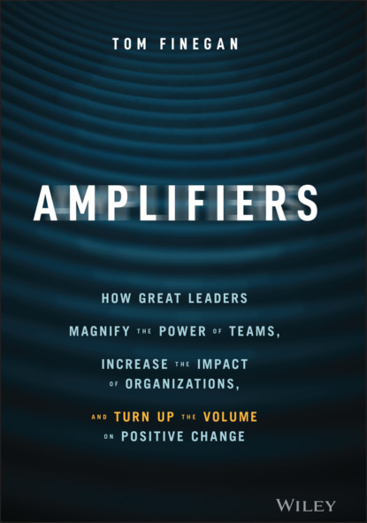 Скачать книгу Amplifiers