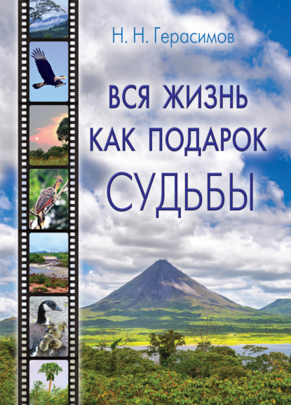 Скачать книгу Вся жизнь как подарок судьбы