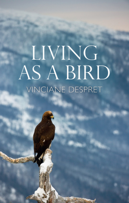 Скачать книгу Living as a Bird