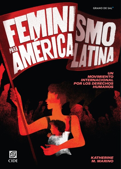 Скачать книгу Feminismo para América Latina