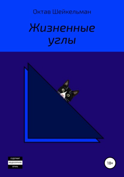 Скачать книгу Жизненные углы