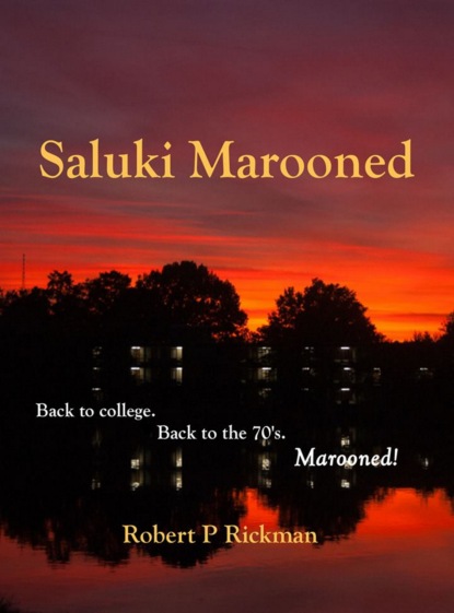 Скачать книгу Saluki Marooned