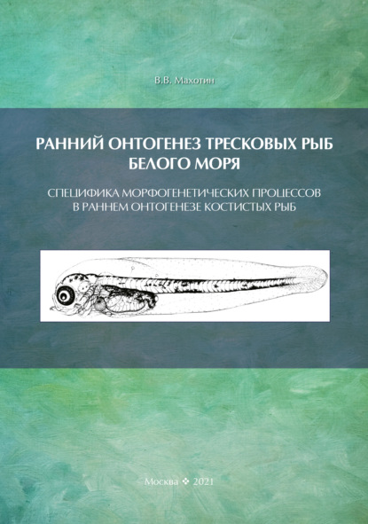 Скачать книгу Ранний онтогенез тресковых рыб Белого моря. Специфика морфогенетических процессов в раннем онтогенезе костистых рыб (на примере развития тресковых)