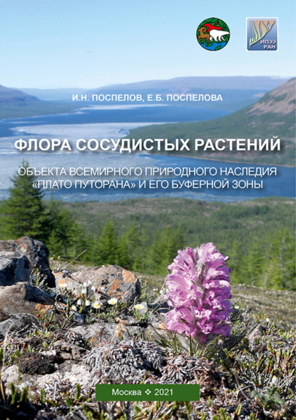 Скачать книгу Флора сосудистых растений объекта всемирного природного наследия «Плато Путорана» и его буферной зоны (заповедник «Путоранский» и его охранная зона)