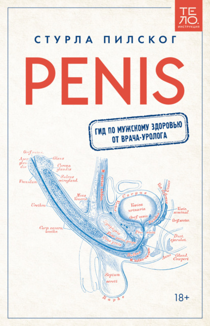 Скачать книгу Penis. Гид по мужскому здоровью от врача-уролога
