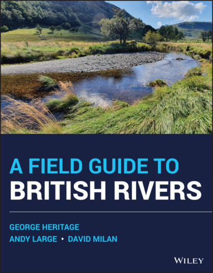 Скачать книгу A Field Guide to British Rivers