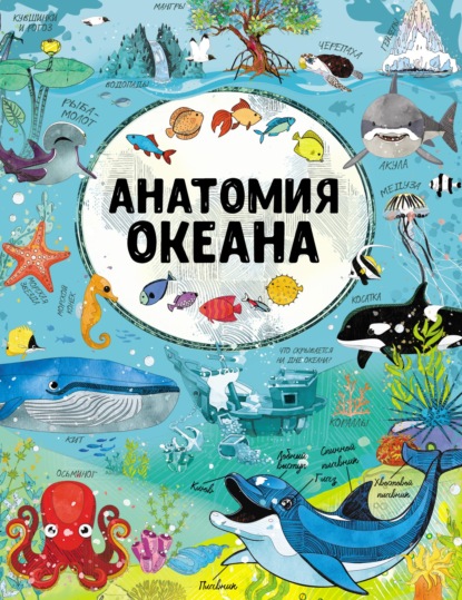Скачать книгу Анатомия океана