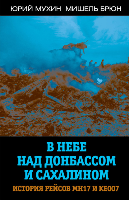 Скачать книгу В небе над Донбассом и Сахалином. История рейсов МН17 и КЕ007