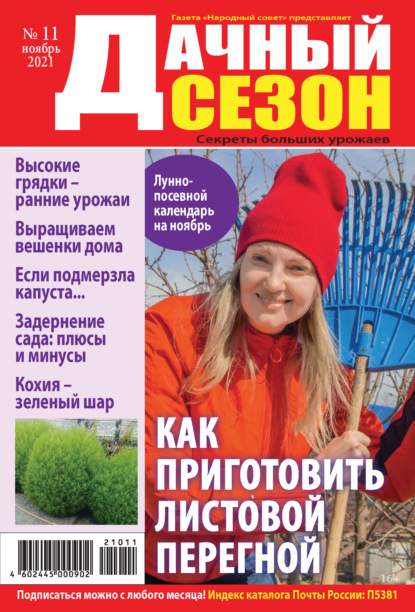 Скачать книгу Дачный сезон №11/2021