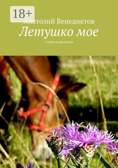 Скачать книгу Летушко мое. Стихи и рассказы