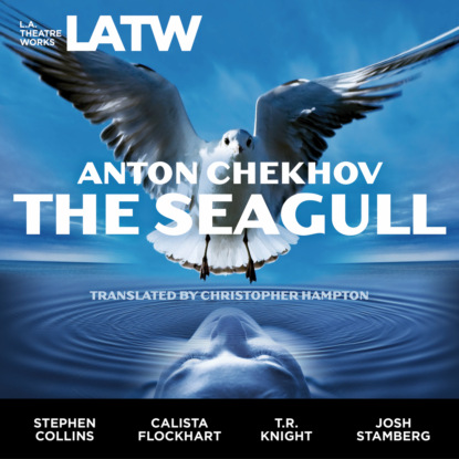 Скачать книгу The Seagull