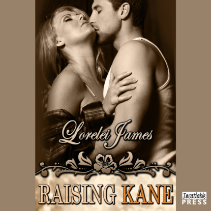 Скачать книгу Raising Kane - Rough Riders, Book 9 (Unabridged)