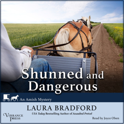 Скачать книгу Shunned and Dangerous - An Amish Mystery, Book 3 (Unabridged)
