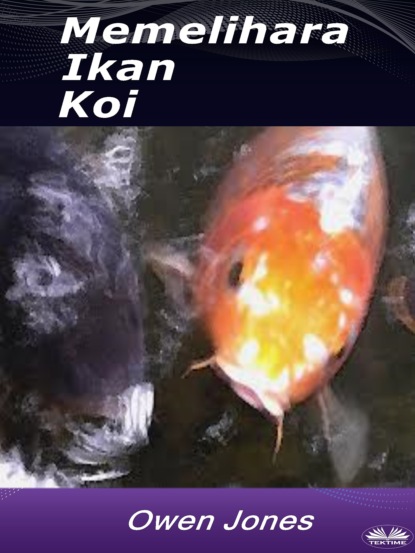 Memelihara Ikan Koi