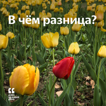 Скачать книгу В чём разница?