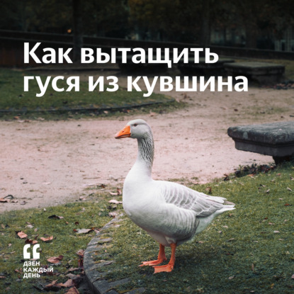 Скачать книгу Как вытащить гуся из кувшина