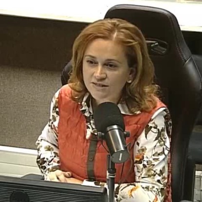 Скачать книгу Речевые штампы и языковые стандарты