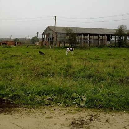 Скачать книгу Готовы ли вы переехать в деревню?