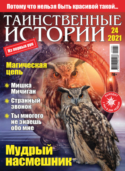 Скачать книгу Таинственные истории №24/2021