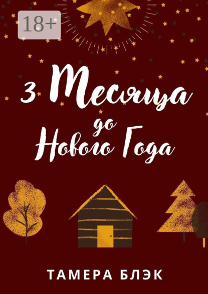 Скачать книгу 3 месяца до Нового года