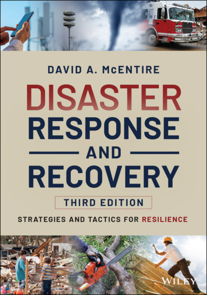 Скачать книгу Disaster Response and Recovery